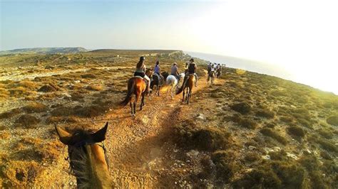 horse riding golden bay malta.